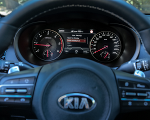 Kia Stinger blue details  (2)